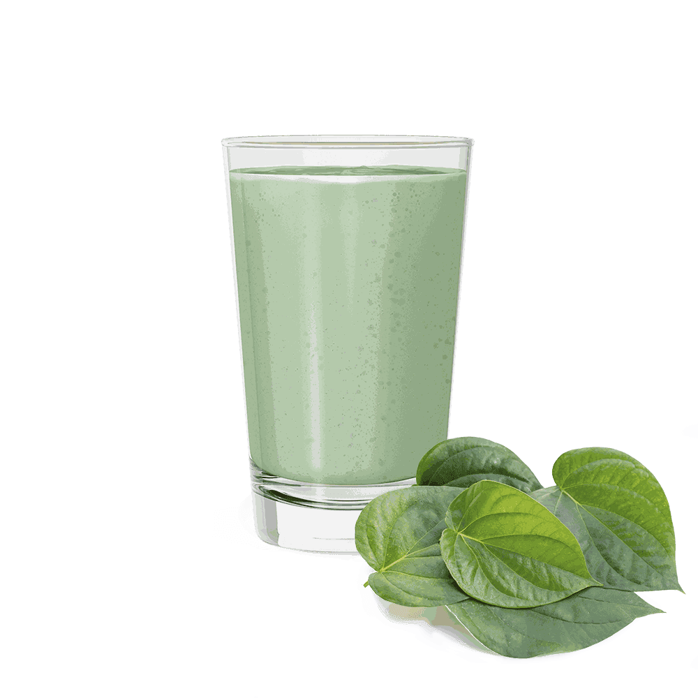 Herbalife Formula 1 - Paan - prepared product