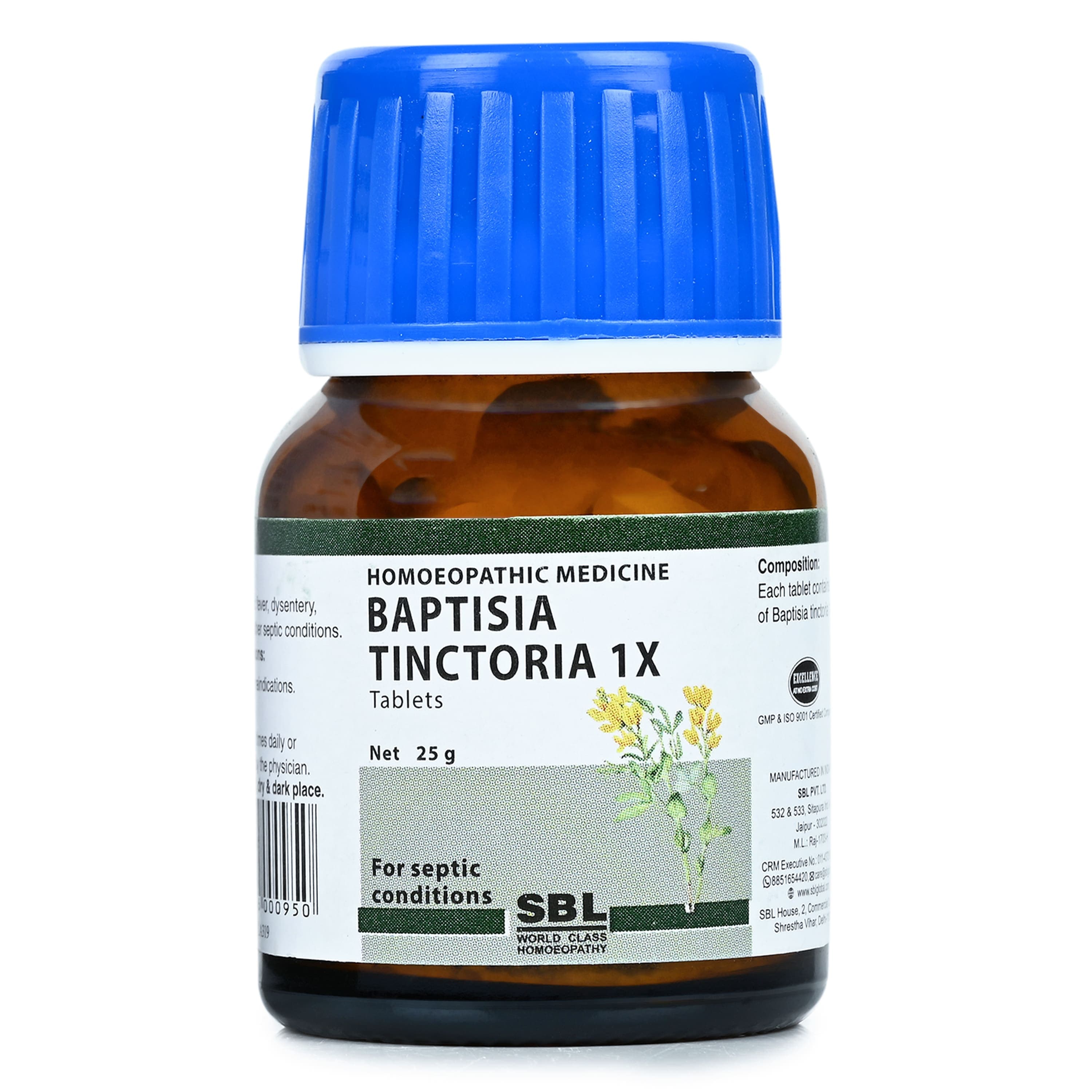 SBL BAPTISIA TINCTORIA - 1X - 25GM image 3
