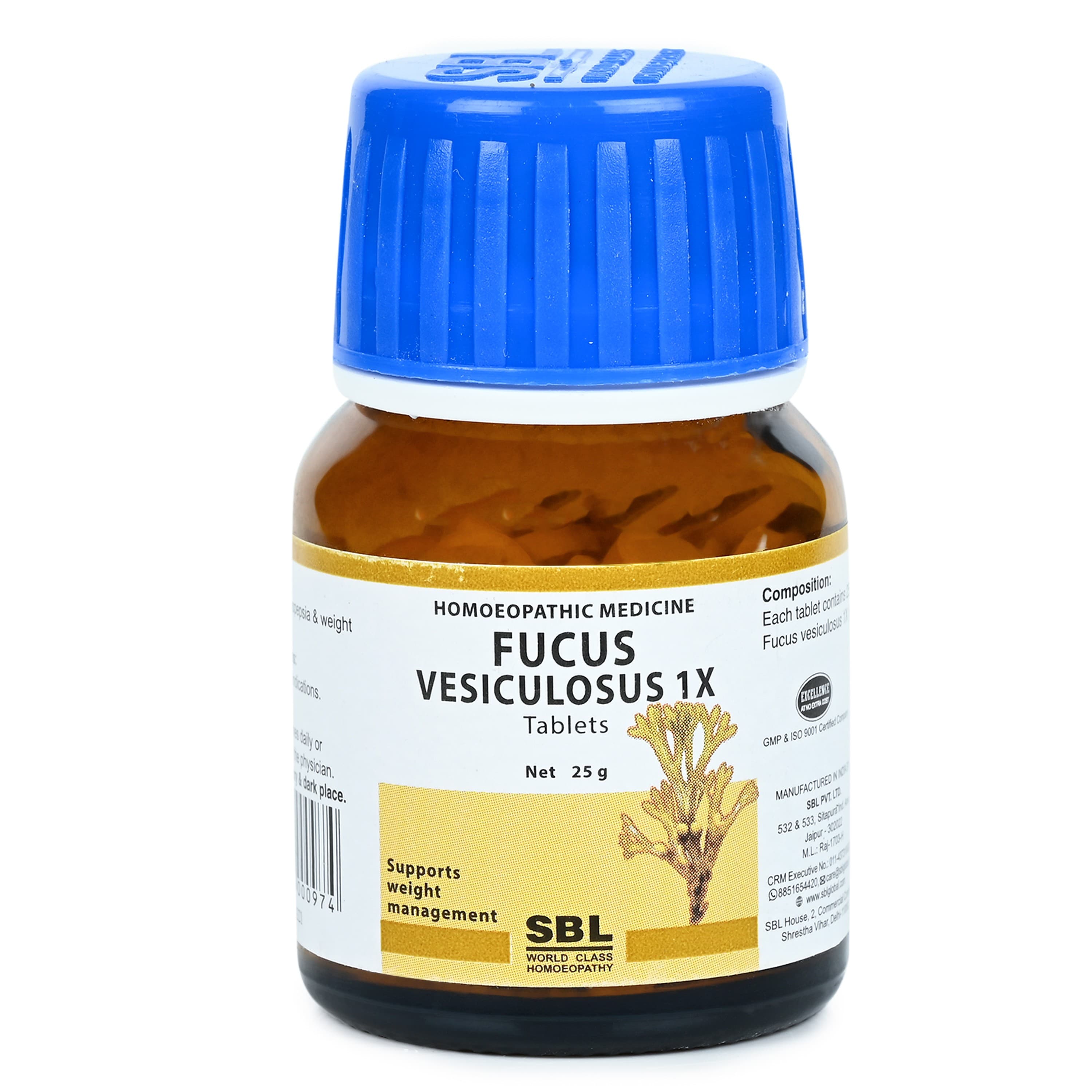 SBL FUCUS VESICULOSUS - 1X - 25GM image 4