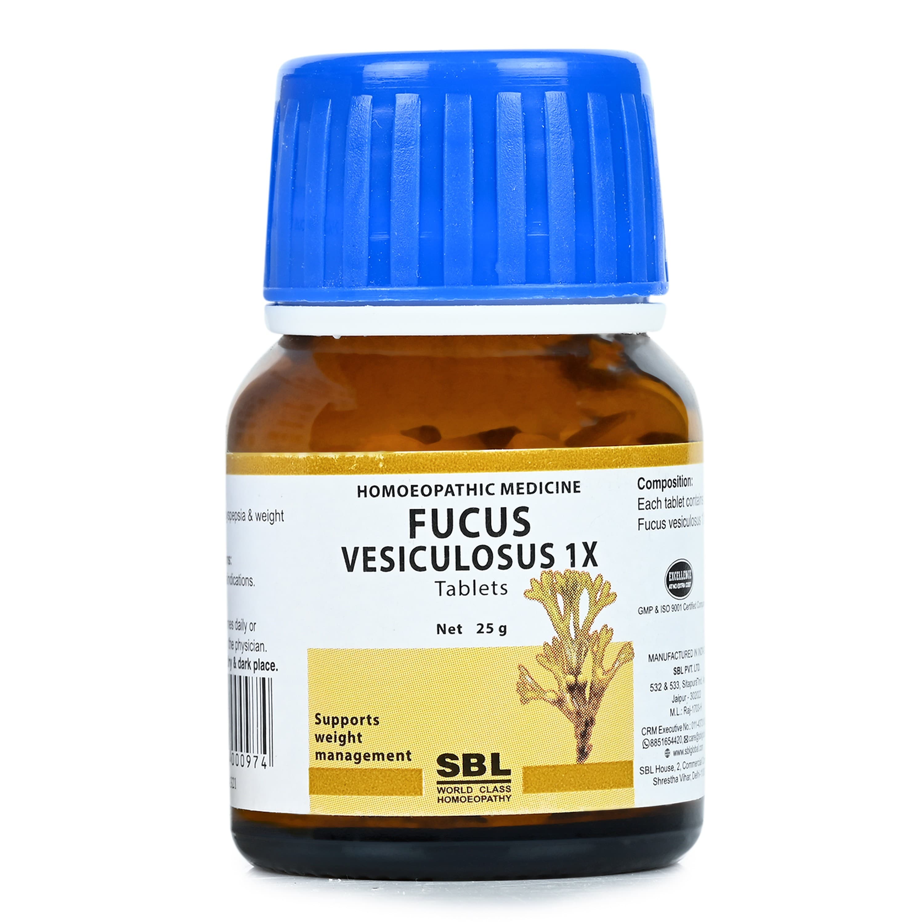 SBL FUCUS VESICULOSUS - 1X - 25GM image 3